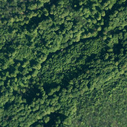 Satellite imagery of Hohenstein, DE