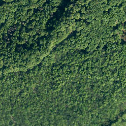Satellite imagery of Hohenstein, DE