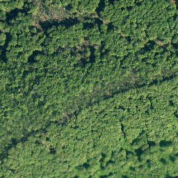 Satellite imagery of Hohenstein, DE
