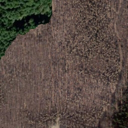 Satellite imagery of Herzberg, DE