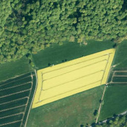 Satellite imagery of Amelungsberg, DE