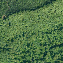 Satellite imagery of Hohenstein, DE