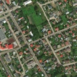 Satelita