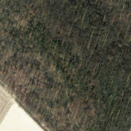 Satellite imagery of Abraham, DE
