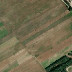 Satelita