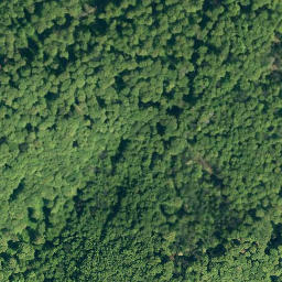 Satellite imagery of Roter Stein, DE
