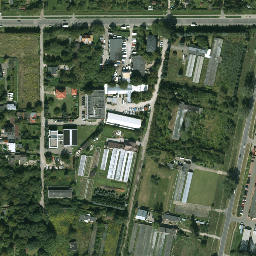 Satelita