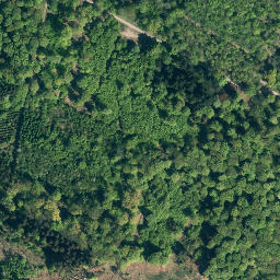 Satellite imagery of Westerberg, DE