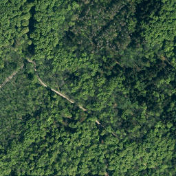 Satellite imagery of Süntel, DE