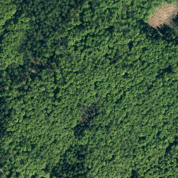 Satellite imagery of Süntel, DE