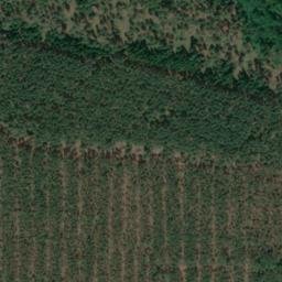 Satellite imagery of Voßberg, DE
