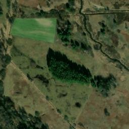 Satelita