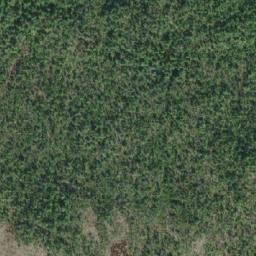 Satellite imagery of Dryad Point, CA