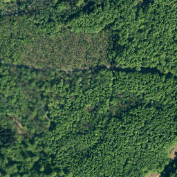 Satellite imagery of Katzennase, DE