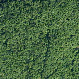Satellite imagery of Süntel, DE