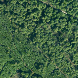 Satellite imagery of Burgberg, DE