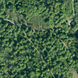 Satellite imagery of Burgberg, DE