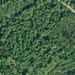 Satellite imagery of Burgberg, DE