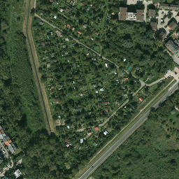 Satelita