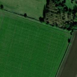 Satellite imagery of Palaceyard Wood, GB