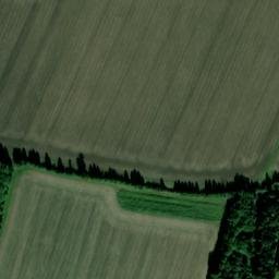 Satellite imagery of Palaceyard Wood, GB