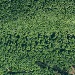 Satellite imagery of Katzennase, DE