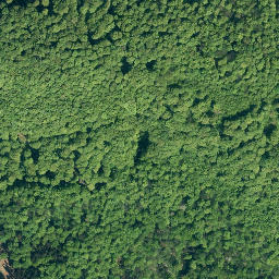 Satellite imagery of Katzennase, DE