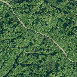 Satellite imagery of Burgberg, DE