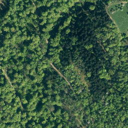 Satellite imagery of Burgberg, DE