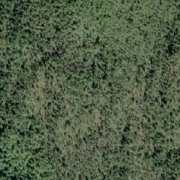 Satellite imagery of Cone Point, CA