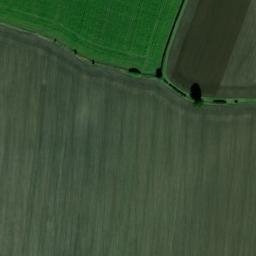 Satellite imagery of Palaceyard Wood, GB