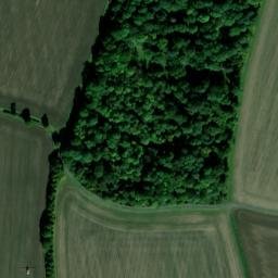 Satellite imagery of Palaceyard Wood, GB