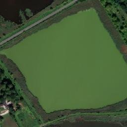 Satellite imagery of Grzybno - Pałac, PL