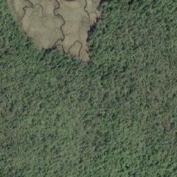 Satellite imagery of Dunn Point, CA