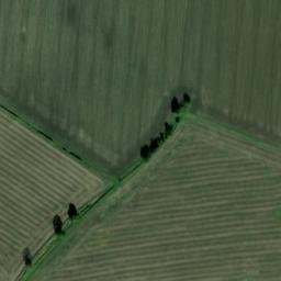 Satellite imagery of Palaceyard Wood, GB