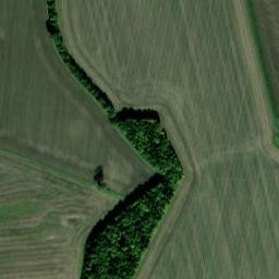 Satellite imagery of Palaceyard Wood, GB