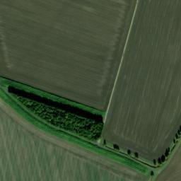 Satellite imagery of Palaceyard Wood, GB