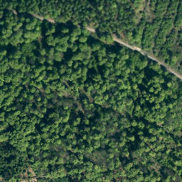 Satellite imagery of Schierer Brink, DE