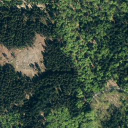 Satellite imagery of Nesselberg, DE