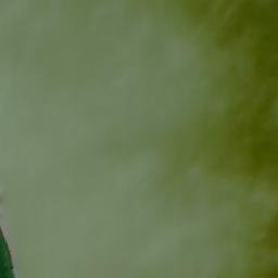 Satellite imagery of Lemore Martins Castle, GB