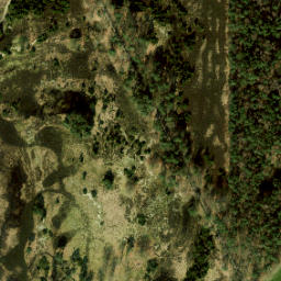 Satellite imagery of Kattenstaartpaal, NL