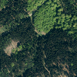 Satellite imagery of Nesselberg, DE