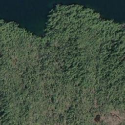 Satellite imagery of Draney Point, CA