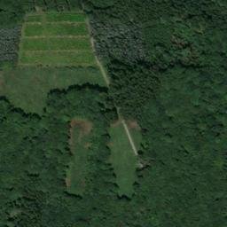 Satellite imagery of Spannbrink, DE