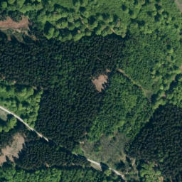 Satellite imagery of Mangel, DE