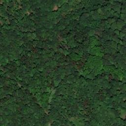 Satellite imagery of Rumbecker Berg, DE