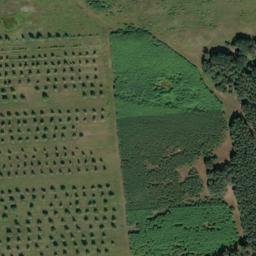 Satellite imagery of Mühlberg, DE