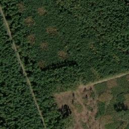 Satellite imagery of Extermination camp Chelmno / Kulmhof, PL