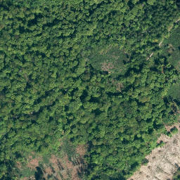 Satellite imagery of Großer Finnenberg, DE
