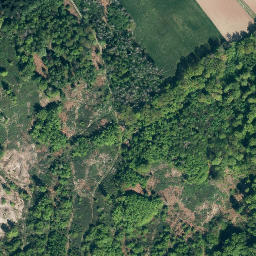 Satellite imagery of Großer Finnenberg, DE